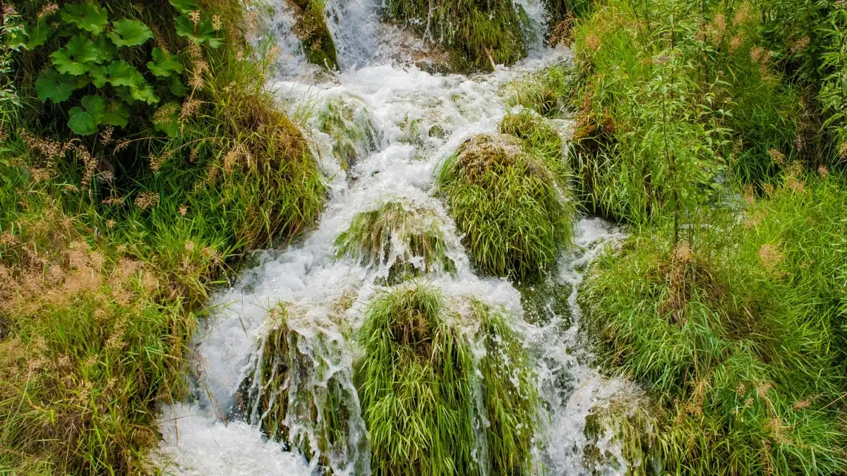 Kako brendi u Boliviji koriste Hulu za eksplozivan promo otvaranja prodavnica