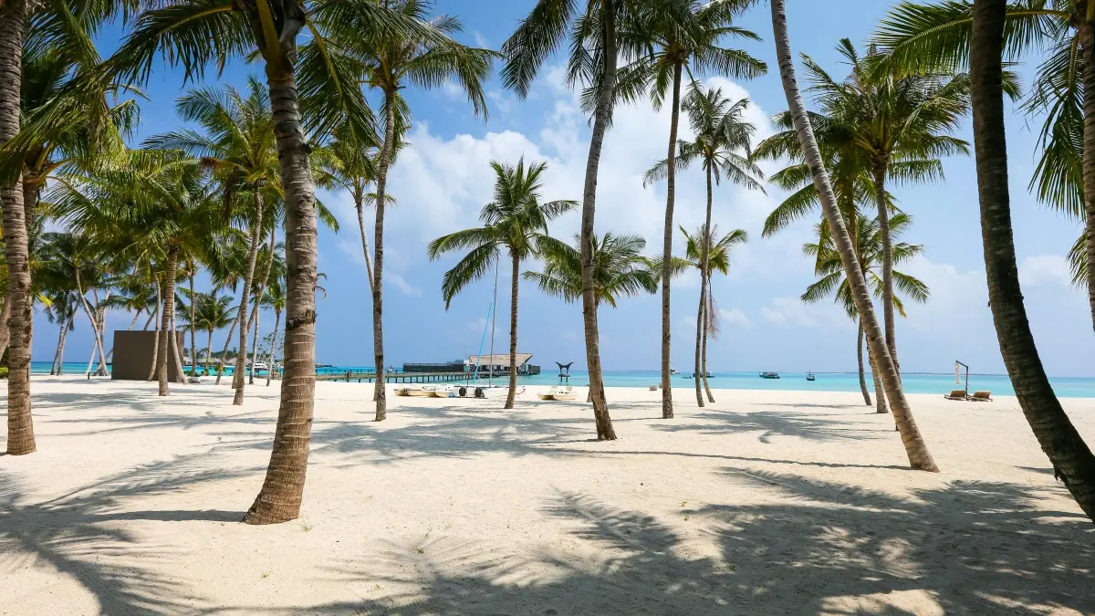 Brands in Mozambique: Find Thai WhatsApp style creators