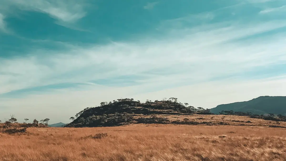 Mozambique Creators: Land Panama Brands on Bilibili