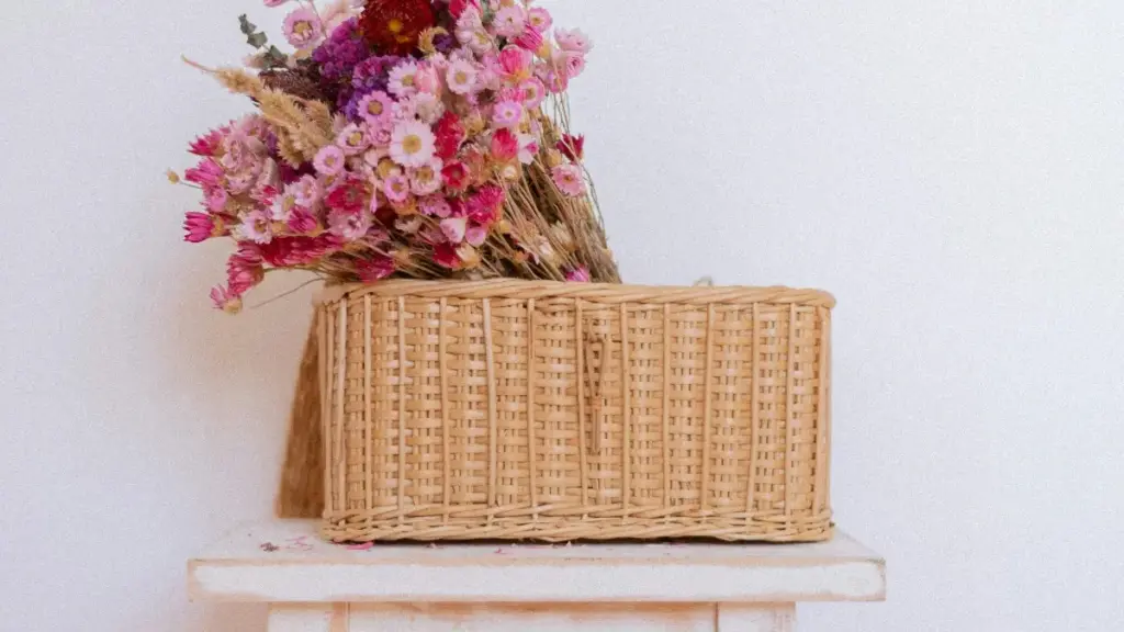 Guia prático para criadores em Moçambique sobre como contactar marcas uruguaias em Shopee e produzir lookbooks que convertem.