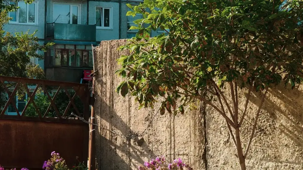 Guia prático para criadores em Moçambique: como abordar marcas turcas via Roposo e fechar parcerias com game publishers. Dicas de pitch, localisation e exemplos reais.