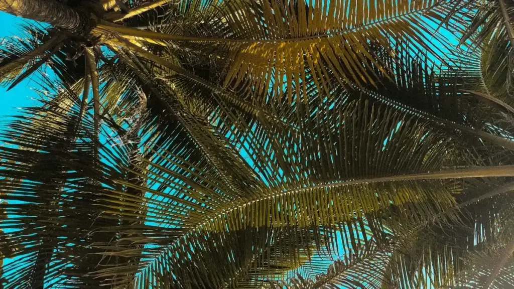 Guia prático para anunciantes em Moçambique: como identificar, contactar e contratar criadores russos no Spotify para promover tours locais, com riscos legais e estratégias de segmentação.