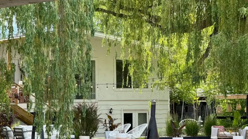 Guia prático pra anunciantes em Moçambique: como identificar, avaliar e contratar criadores de YouTube do Egito que possam enviar tráfego qualificado pra tua landing page.