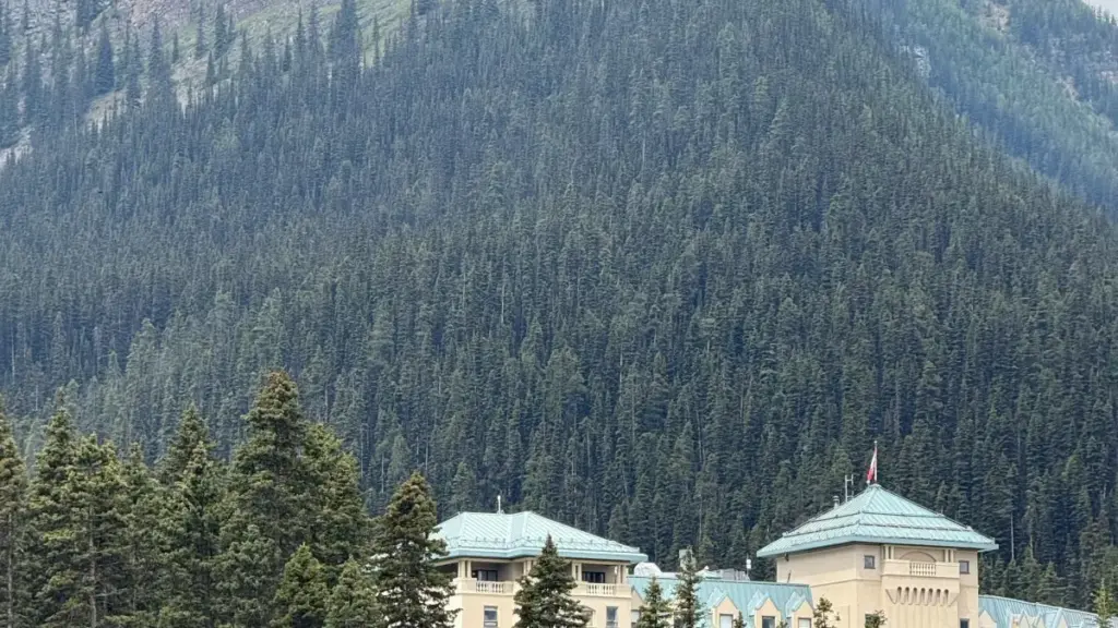 Guia prático para anunciantes em Moçambique: onde e como encontrar criadores Zalo na Austrália que mostrem tendências de moda sazonais.