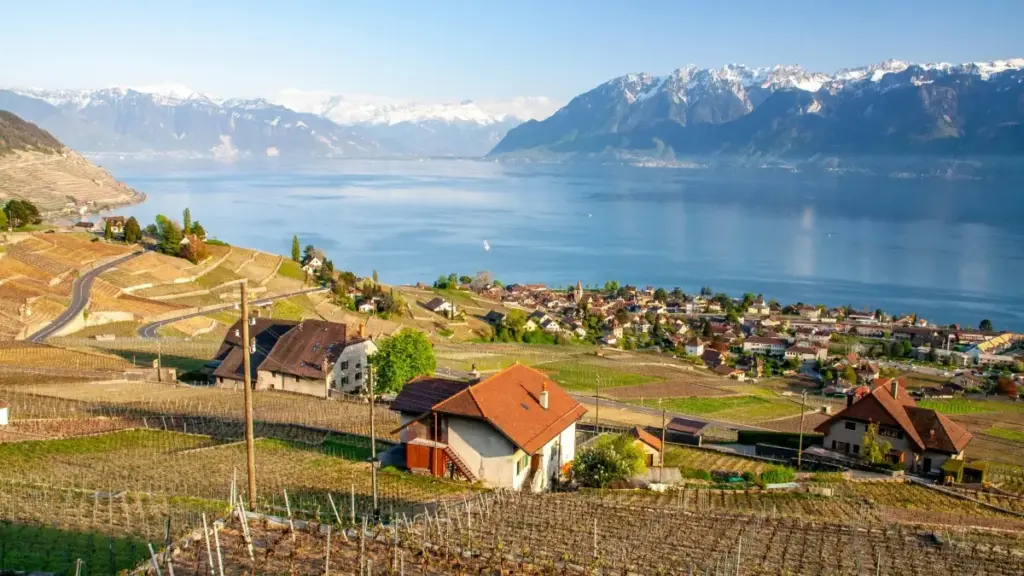 Guia prático para criadores em Moçambique que queiram contactar marcas da Eslovénia via Bilibili e fazer cross-promo — táticas, pitch, riscos e ferramentas.