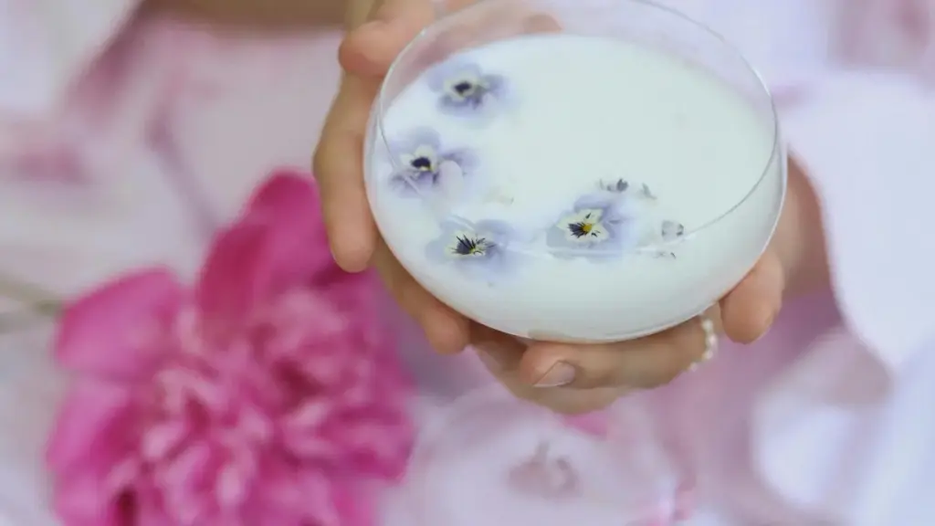 Guia prático para criadores em Moçambique sobre como achar, contactar e fechar parcerias com marcas argelinas no vkontakte para criar guias de viagem autênticos.