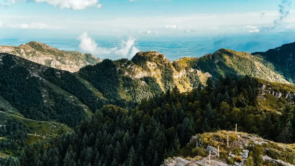 Guia prático para criadores em Moçambique: como achar, abordar e negociar com marcas sul-coreanas na Amazon para reviews long-form.