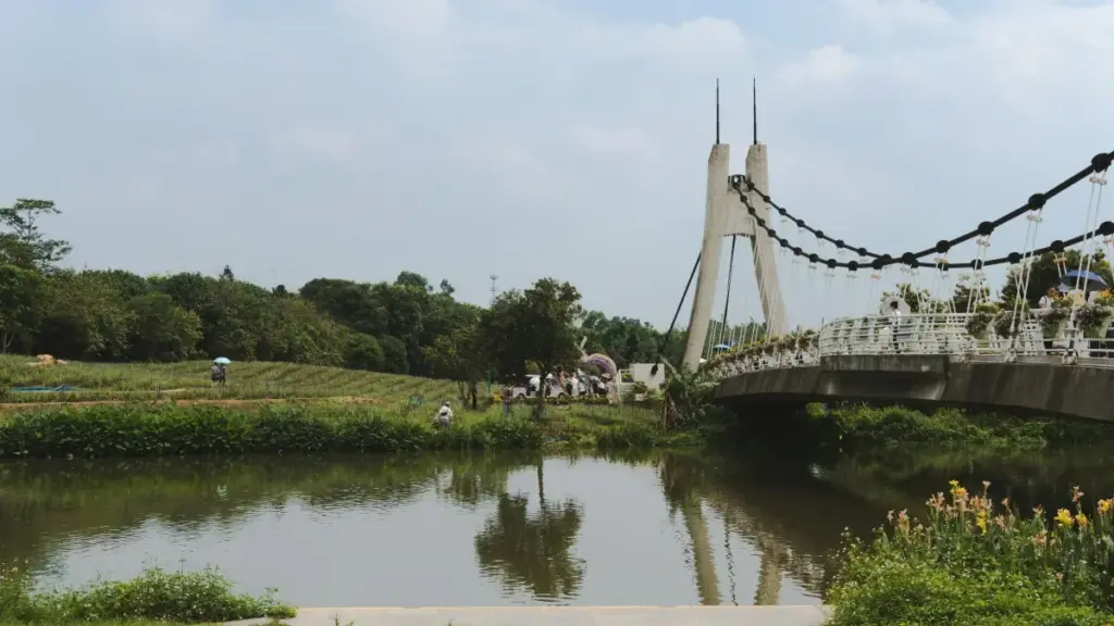 Guia prático para anunciantes em Moçambique: onde encontrar criadores Telegram na Estónia, como avaliar audiência e converter em instalações de APP.