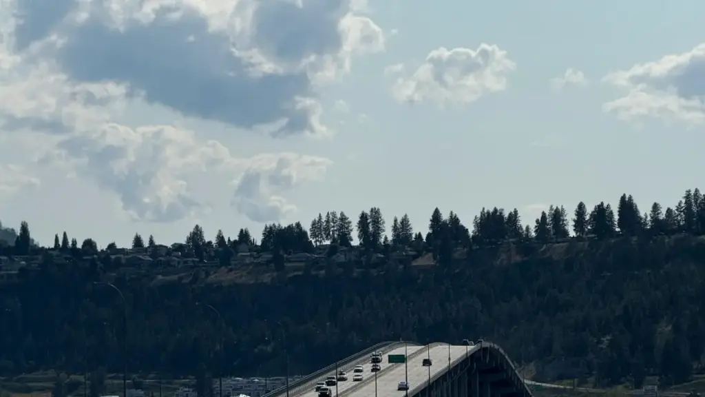 Prático guia pra criadores em Moçambique: como achar, abordar e conseguir reviews com marcas de Puerto Rico no Reddit — táticas, exemplos e riscos.