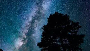 Guia prático para marcas em Moçambique: como identificar, avaliar e fechar parcerias com criadores do Vietnam ligados a HBO Max para dance challenges.