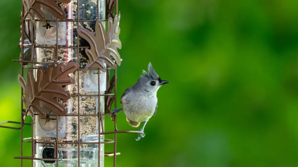 Estratégias práticas para criadores em Moçambique alcançarem marcas da Letónia via Disney Plus, com táticas de outreach, formatos nativos e dicas de afiliação.