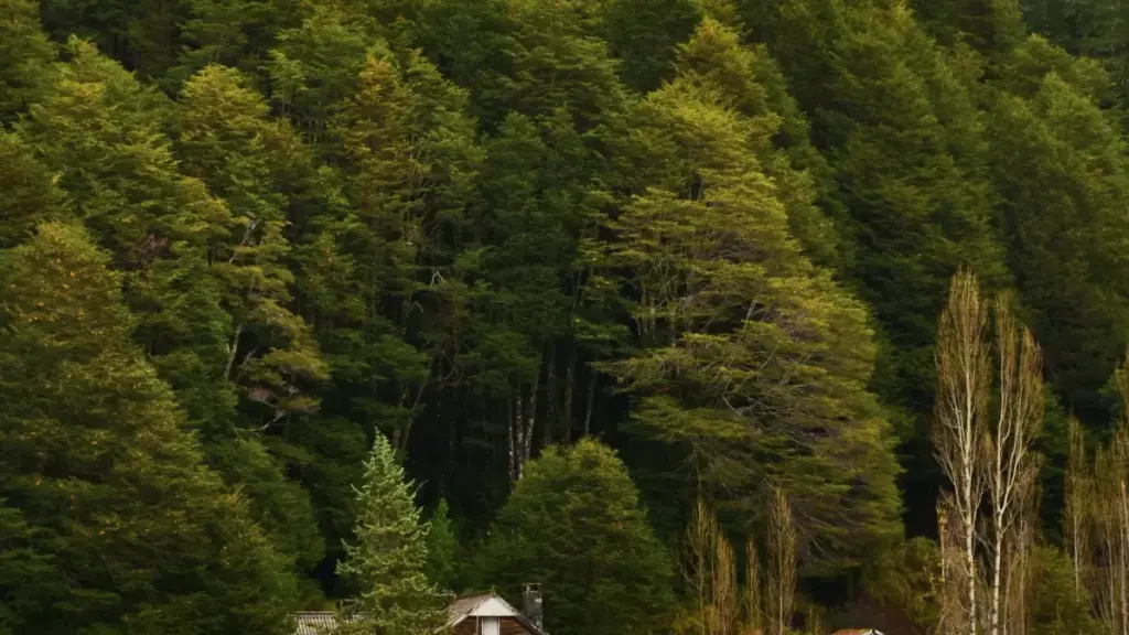 Guia prático pra criadores em Moçambique: como abordar marcas da Turquia no Line e fechar conteúdo fitness de marca.