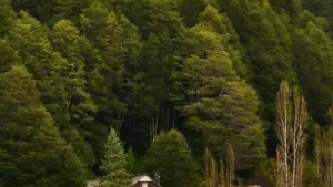 Guia prático pra criadores em Moçambique: como abordar marcas da Turquia no Line e fechar conteúdo fitness de marca.