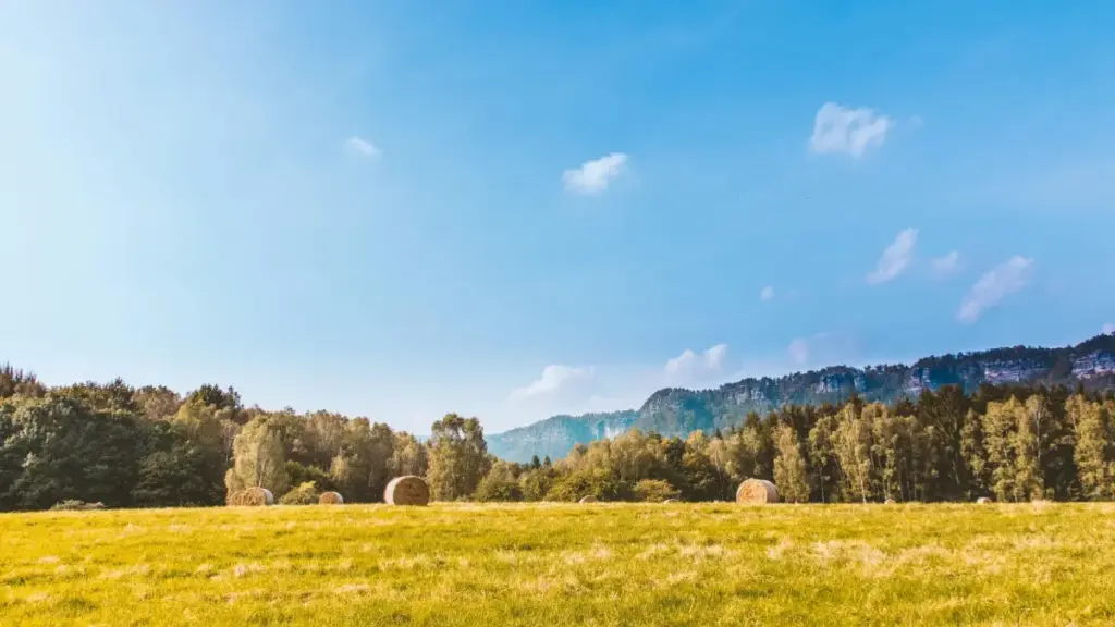 Guia prático pra anunciantes em Moçambique: estratégias, canais e riscos ao encontrar creators de Myanmar no Telegram para campanhas baseadas em engajamento.