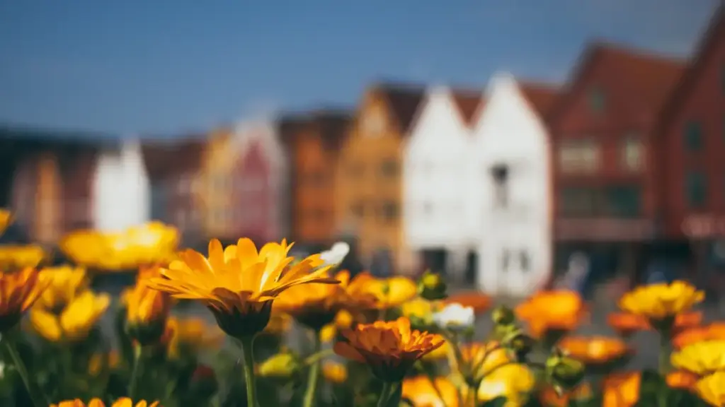 Guia prático para criadores em Moçambique que queiram abordar marcas lituanas no Rumble para testar e revisar equipamentos fitness. Estratégias, modelo de mensagem e riscos.