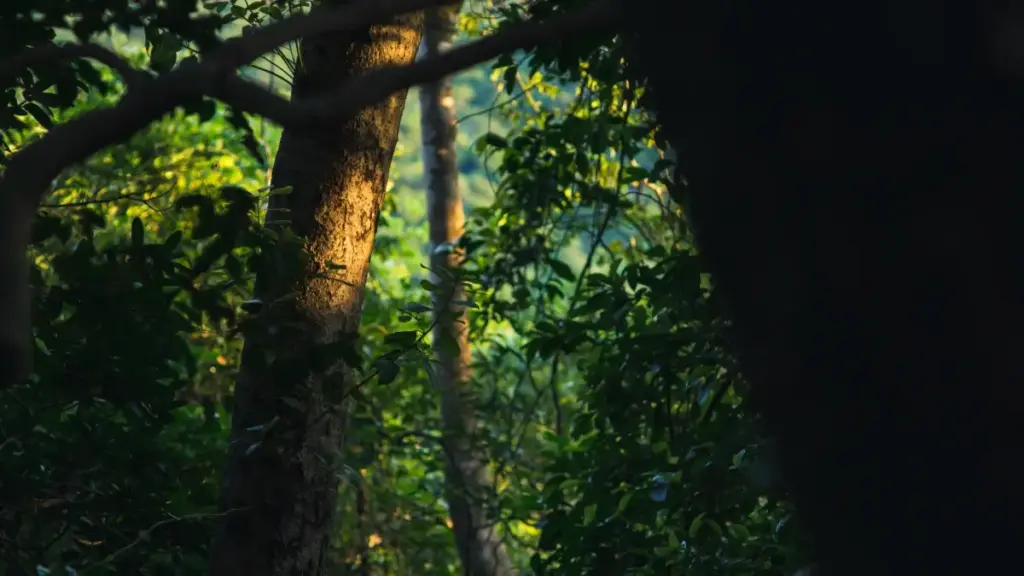 Guia prático para criadores em Moçambique que querem conseguir patrocínios de marcas da Roménia para streams de jogos via OnlyFans — táticas, riscos e checklist.