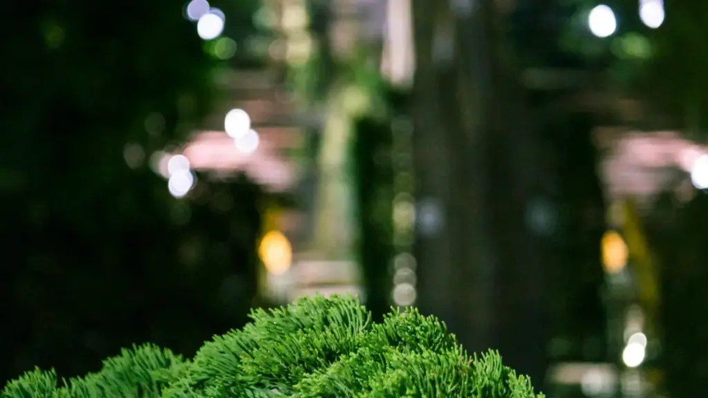 Практичен водич за креатори во Мозамбик: како да пристапиш и соработуваш со кувајтски брендови на OnlyFans за wardrobe haul видеа, без ризик и со реални тактики.