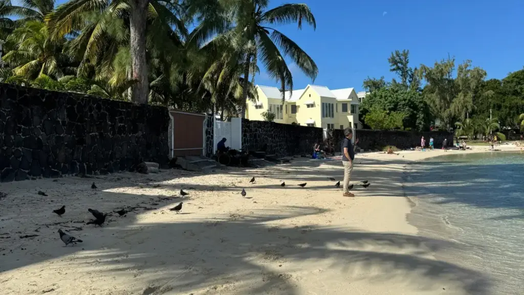 Guia prático para criadores em Moçambique: como identificar, contactar e transformar marcas da Macedónia do Norte na Disney Plus em parcerias longas.