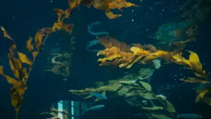 Guia prático para anunciantes em Moçambique sobre como identificar, avaliar e lançar desafios patrocinados com creators de Malta no LinkedIn — táticas locais, plataformas e riscos.