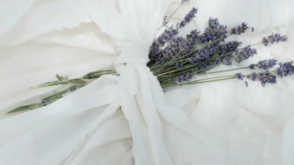 Guia prático para criadores em Moçambique: como abordar marcas suíças no Reddit, construir propostas de branded fitness content e evitar erros comuns.