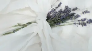 Guia prático para criadores em Moçambique: como abordar marcas suíças no Reddit, construir propostas de branded fitness content e evitar erros comuns.