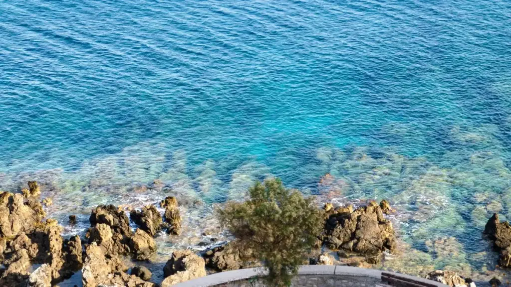 Guia prático para anunciantes em Moçambique: como identificar, contactar e contratar criadores búlgaros no WhatsApp para reviews visuais de produto.