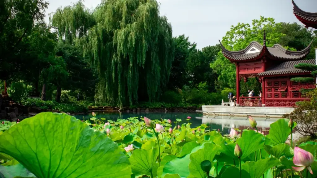 Estratégias práticas para marcas em Moçambique que querem achar e contratar criadores de Bangladesh no Bilibili para lançar linhas de suplementos de saúde.