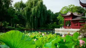 Estratégias práticas para marcas em Moçambique que querem achar e contratar criadores de Bangladesh no Bilibili para lançar linhas de suplementos de saúde.