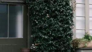 Praktičen vodič za creatori od Mozambique: kako da stigneš do iranske marki na Instagram i da izградиš dolгорочни brand deal-ovi bez cringe pitching.