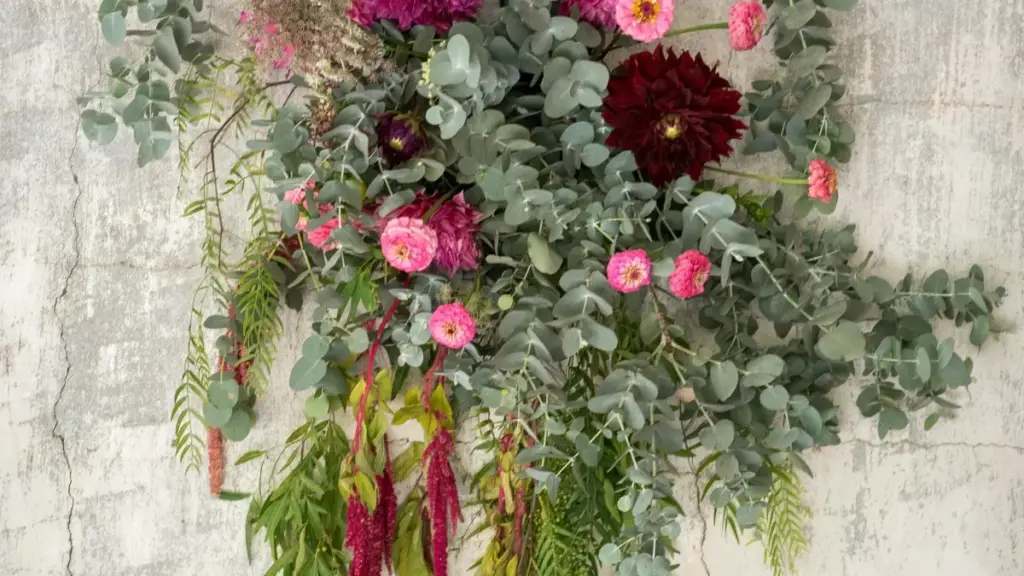 Практичен водич за брендовите во Мозамбик што сакаат да најдат Kuaishou креатори во Северна Македонија и да прават co-branded drops без глупирање.