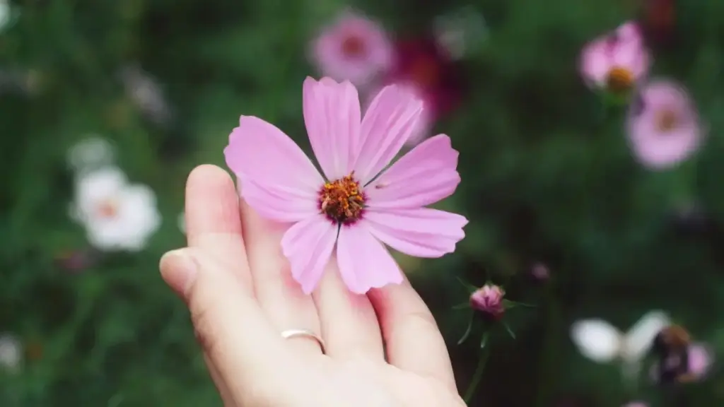 Практичен водич за креатори од Мозамбик што сакаат да им влезат во DM на мексикански брендови на Facebook и да фатат соработка со tourism boards.