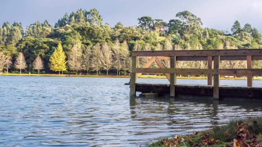 Ako сакаш да стигнеш до Sri Lanka брендови преку Clubhouse, тука е практичен патоказ: како да влезеш во простори, да зборуваш локално и да направиш content што навистина продава.